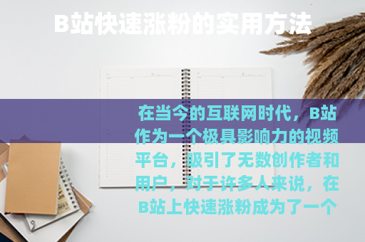 B站快速涨粉的实用方法