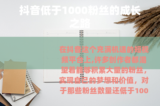 抖音低于1000粉丝的成长之路