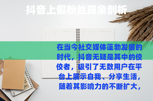 抖音上假粉丝现象剖析