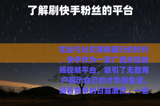 了解刷快手粉丝的平台