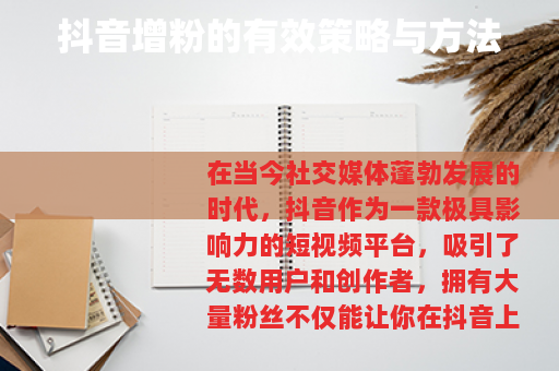 抖音增粉的有效策略与方法