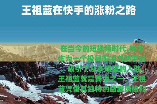 王祖蓝在快手的涨粉之路