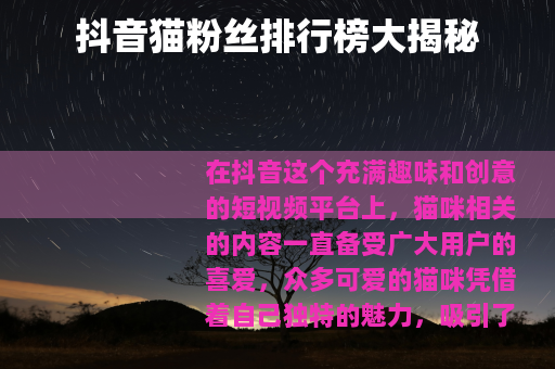 抖音猫粉丝排行榜大揭秘