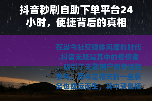 抖音秒刷自助下单平台24小时，便捷背后的真相