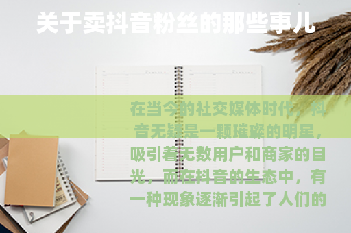 关于卖抖音粉丝的那些事儿