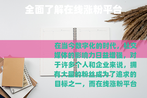 全面了解在线涨粉平台