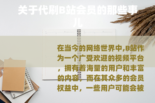 关于代刷B站会员的那些事儿