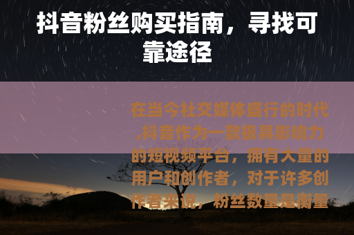 抖音粉丝购买指南，寻找可靠途径