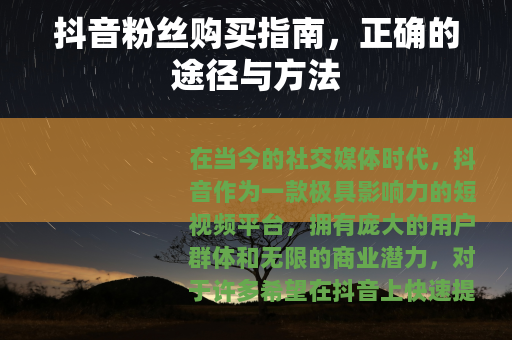 抖音粉丝购买指南，正确的途径与方法