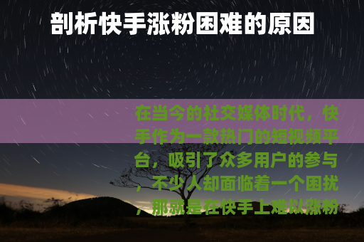 剖析快手涨粉困难的原因