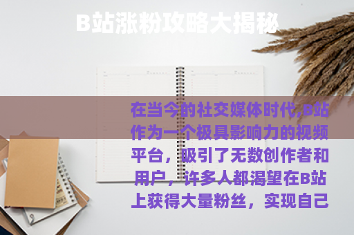 B站涨粉攻略大揭秘