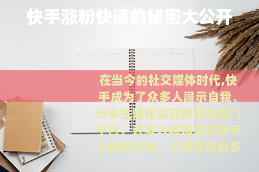 快手涨粉快速的秘密大公开