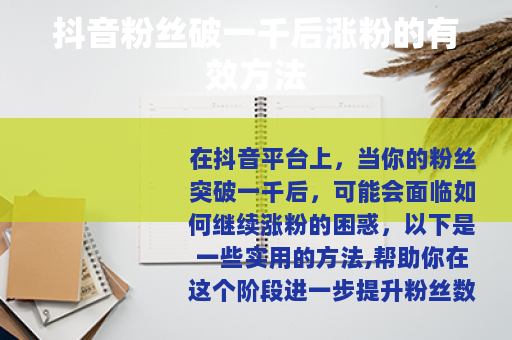 抖音粉丝破一千后涨粉的有效方法