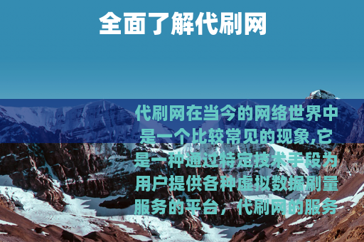 全面了解代刷网