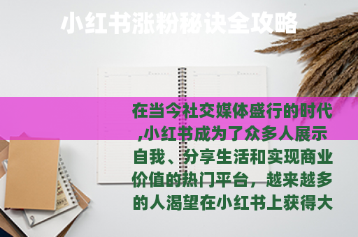 小红书涨粉秘诀全攻略