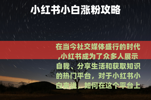 小红书小白涨粉攻略