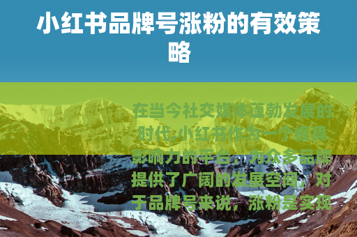 小红书品牌号涨粉的有效策略