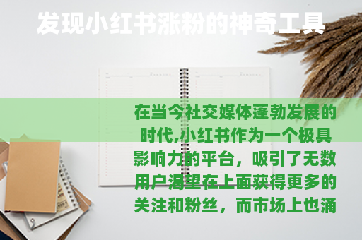 发现小红书涨粉的神奇工具