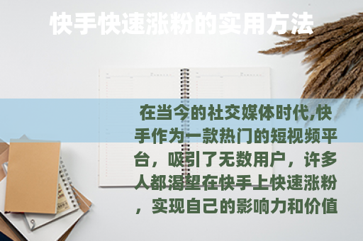 快手快速涨粉的实用方法