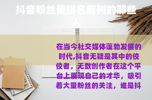 抖音粉丝量排名前列的那些人