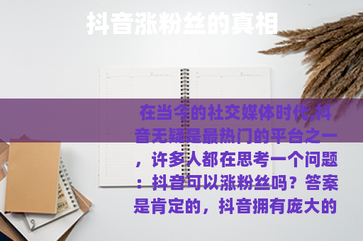 抖音涨粉丝的真相