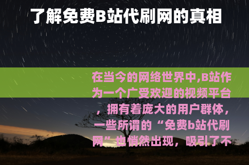 了解免费B站代刷网的真相