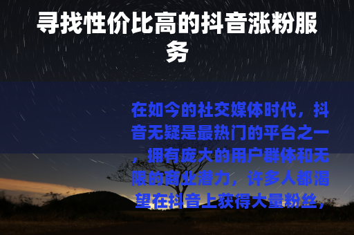 寻找性价比高的抖音涨粉服务