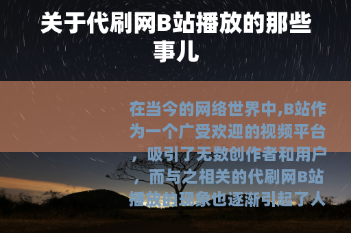 关于代刷网B站播放的那些事儿
