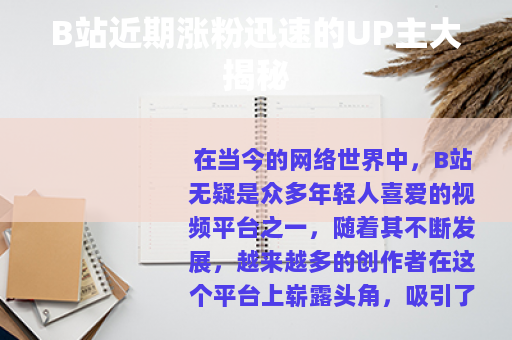 B站近期涨粉迅速的UP主大揭秘