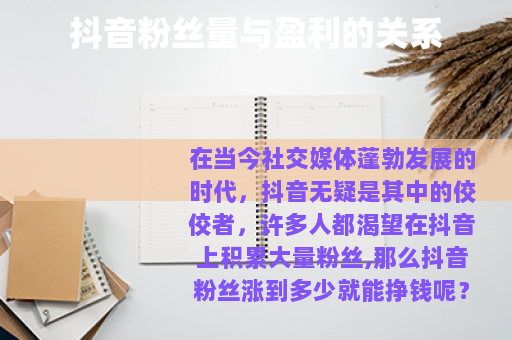 抖音粉丝量与盈利的关系