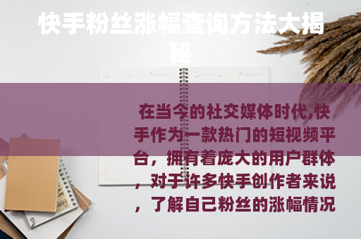 快手粉丝涨幅查询方法大揭秘