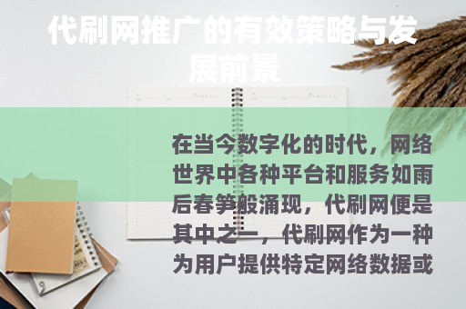 代刷网推广的有效策略与发展前景