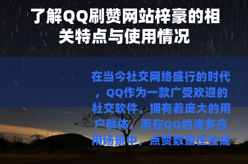 了解QQ刷赞网站梓豪的相关特点与使用情况