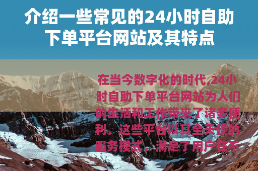 介绍一些常见的24小时自助下单平台网站及其特点