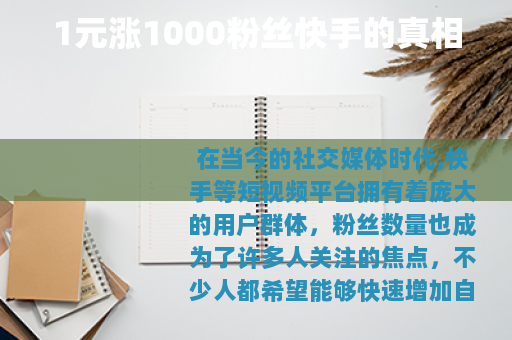 1元涨1000粉丝快手的真相