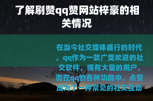 了解刷赞qq赞网站梓豪的相关情况