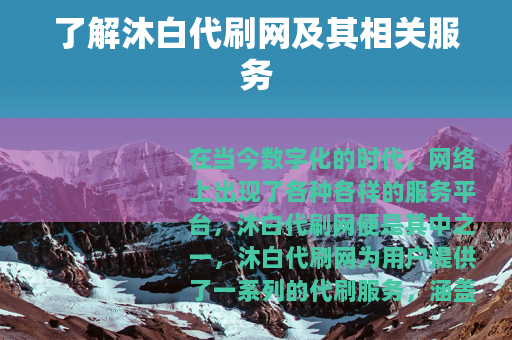 了解沐白代刷网及其相关服务