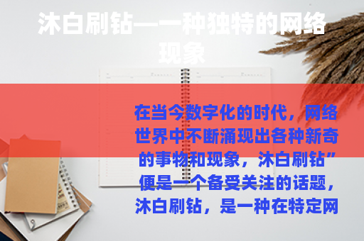沐白刷钻—一种独特的网络现象