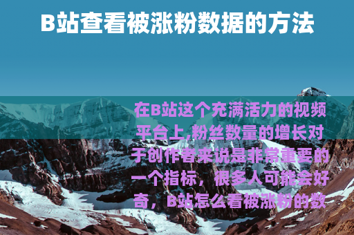 B站查看被涨粉数据的方法