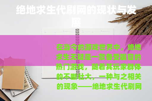 绝地求生代刷网的现状与发展