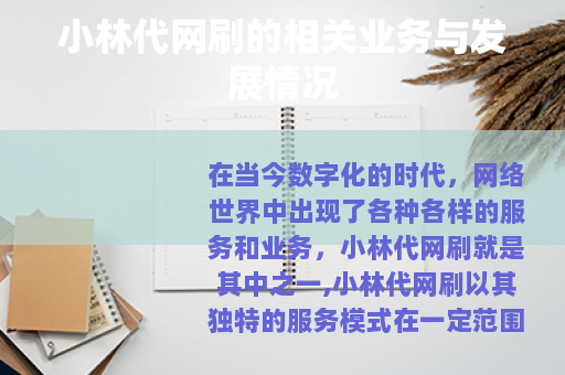 小林代网刷的相关业务与发展情况