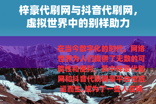 梓豪代刷网与抖音代刷网，虚拟世界中的别样助力