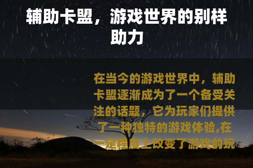 辅助卡盟，游戏世界的别样助力