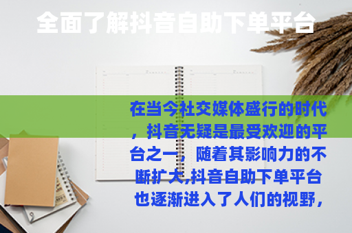 全面了解抖音自助下单平台