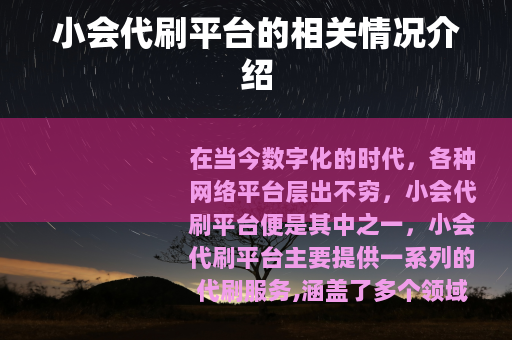 小会代刷平台的相关情况介绍