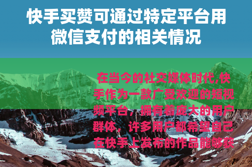 快手买赞可通过特定平台用微信支付的相关情况