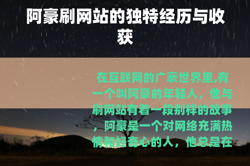 阿豪刷网站的独特经历与收获