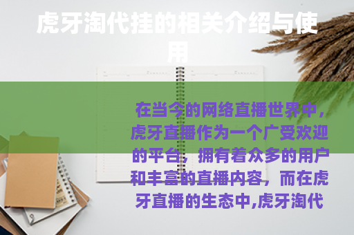 虎牙淘代挂的相关介绍与使用
