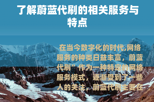 了解蔚蓝代刷的相关服务与特点
