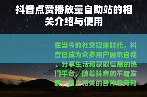 抖音点赞播放量自助站的相关介绍与使用